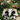 Black and white cowhide rug on grass with a wooden table and chair in the background
